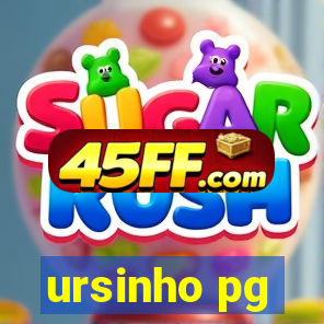 ursinho pg